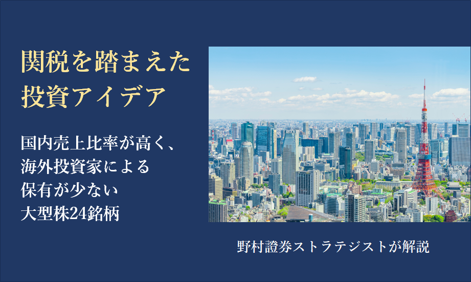 関税を踏まえた投資アイデア　国内売上比率が高く、海外投資家による保有が少ない大型株24銘柄のイメージ